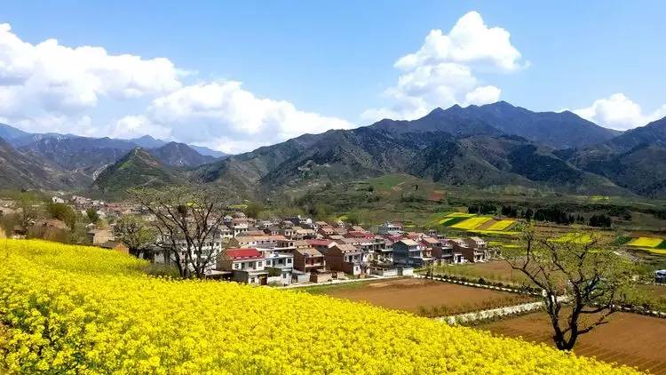 藍(lán)田縣2022年玉山鎮(zhèn)1.3萬畝高標(biāo)準(zhǔn)農(nóng)田建設(shè)項目第3包（灌溉與排水）